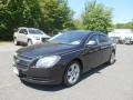 Black Granite Metallic - Malibu LS Sedan Photo No. 5