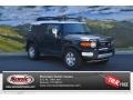 Black Diamond - FJ Cruiser 4WD Photo No. 1