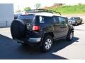 Black Diamond - FJ Cruiser 4WD Photo No. 2
