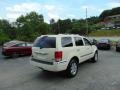 Cool Vanilla - Aspen Limited 4WD Photo No. 3