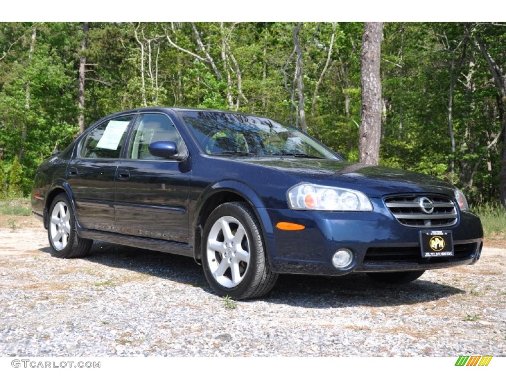 2002 Maxima SE - Majestic Blue Metallic / Frost photo #9