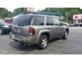 Graystone Metallic - TrailBlazer LS 4x4 Photo No. 5