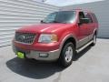 Laser Red Tinted Metallic - Expedition Eddie Bauer Photo No. 7