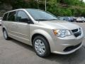 2015 Cashmere / Sandstone Pearl Coat Dodge Grand Caravan SE  photo #8