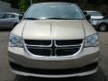 2015 Cashmere / Sandstone Pearl Coat Dodge Grand Caravan SE  photo #9