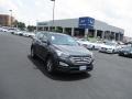 Platinum Graphite - Santa Fe Sport  Photo No. 1
