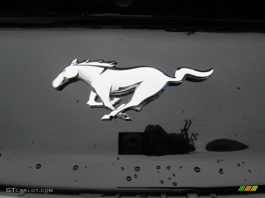 2015 Mustang EcoBoost Coupe - Magnetic Metallic / Ebony photo #11