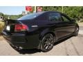 Nighthawk Black Pearl - TL 3.5 Type-S Photo No. 4
