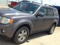 Sterling Grey Metallic - Escape XLT V6 Photo No. 2