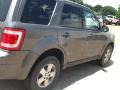 Sterling Grey Metallic - Escape XLT V6 Photo No. 4