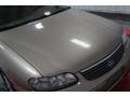 Sandrift Metallic - Malibu Sedan Photo No. 35