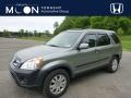 Silver Moss Metallic 2006 Honda CR-V EX 4WD