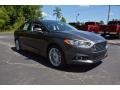 2016 Magnetic Metallic Ford Fusion SE  photo #3