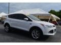 2013 White Platinum Metallic Tri-Coat Ford Escape SEL 1.6L EcoBoost  photo #1