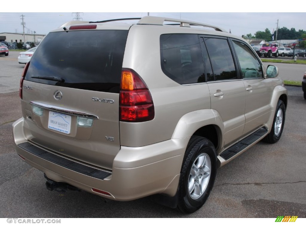 2006 GX 470 - Savannah Beige Metallic / Ivory photo #5