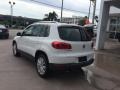 Candy White - Tiguan SE Photo No. 3