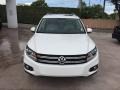 Candy White - Tiguan SE Photo No. 8