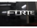 Ebony Black - Forte EX Photo No. 79