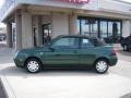 Bright Green Pearl - Cabrio GLS Photo No. 10