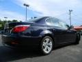 2010 Monaco Blue Metallic BMW 5 Series 528i Sedan  photo #10