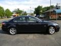 2010 Monaco Blue Metallic BMW 5 Series 528i Sedan  photo #11