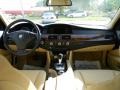 2010 Monaco Blue Metallic BMW 5 Series 528i Sedan  photo #13