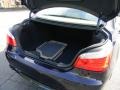 2010 Monaco Blue Metallic BMW 5 Series 528i Sedan  photo #20