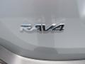 2015 Classic Silver Metallic Toyota RAV4 LE  photo #13
