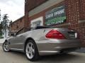 Pewter Metallic - SL 500 Roadster Photo No. 3