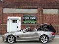 Pewter Metallic - SL 500 Roadster Photo No. 102