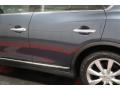 Platinum Graphite Gray - EX 35 Journey AWD Photo No. 62