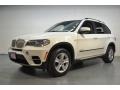 Alpine White - X5 xDrive35d Photo No. 10