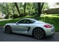 Rhodium Silver Metallic - Cayman S Photo No. 3