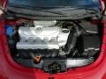 Salsa Red - New Beetle 2.5 Coupe Photo No. 20