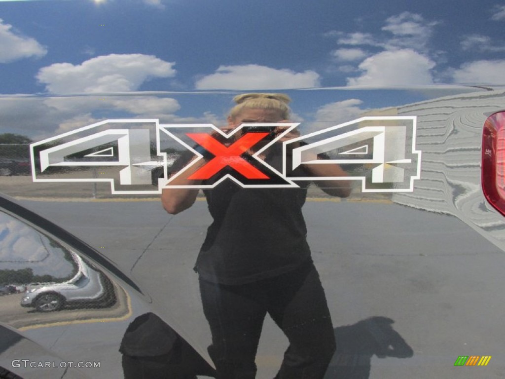 2015 F150 XLT SuperCrew 4x4 - Tuxedo Black Metallic / Medium Earth Gray photo #15