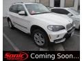 Alpine White 2008 BMW X5 4.8i