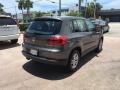 Pepper Gray Metallic - Tiguan S Photo No. 5