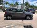 Pepper Gray Metallic - Tiguan S Photo No. 6