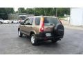 2004 Mojave Mist Metallic Honda CR-V EX 4WD  photo #3