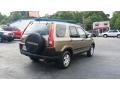 Mojave Mist Metallic - CR-V EX 4WD Photo No. 5