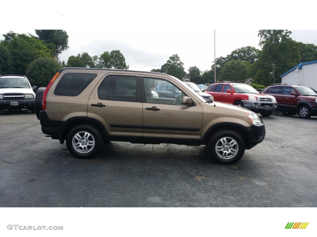2004 CR-V EX 4WD - Mojave Mist Metallic / Saddle photo #6
