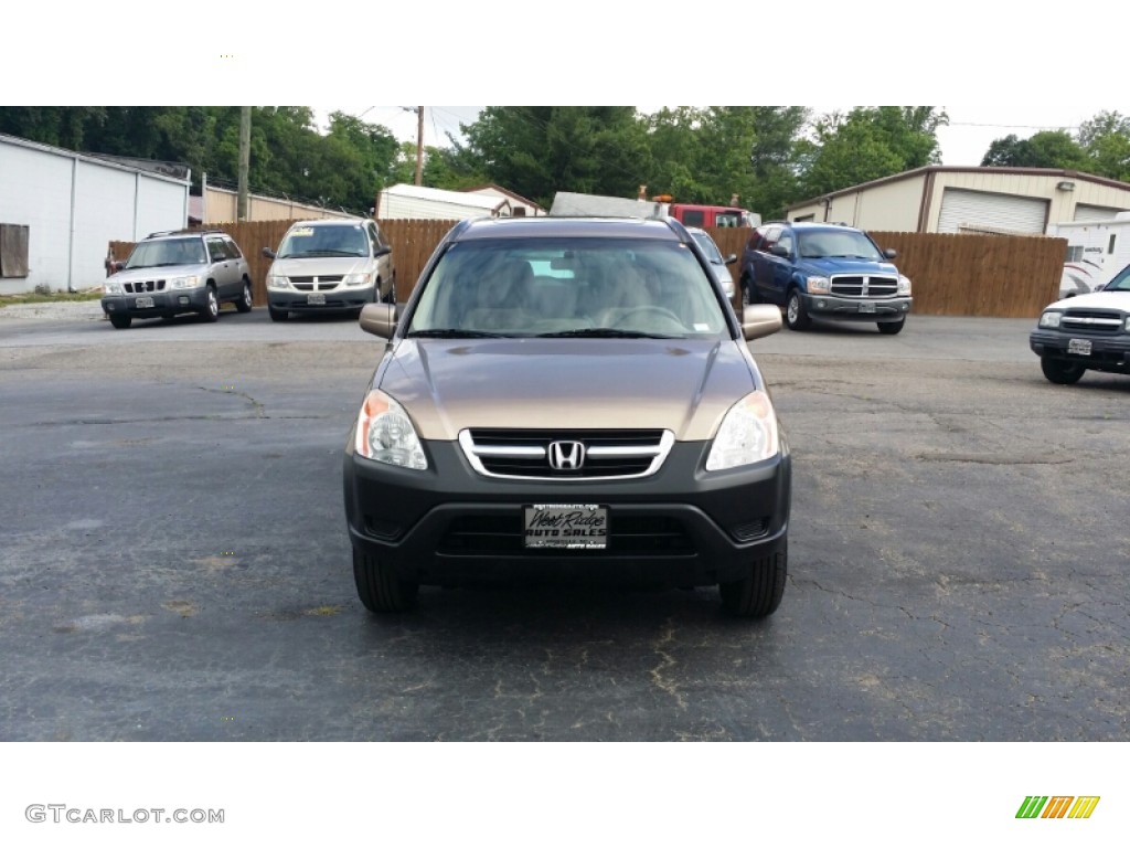 2004 CR-V EX 4WD - Mojave Mist Metallic / Saddle photo #7