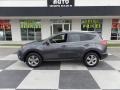 Magnetic Gray Metallic - RAV4 XLE Photo No. 1
