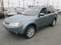 Sage Green Metallic 2013 Subaru Forester 2.5 X Premium Exterior