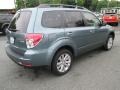 2013 Sage Green Metallic Subaru Forester 2.5 X Premium  photo #6