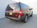 Bronze Fire Metallic - Expedition King Ranch Photo No. 4