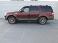 Bronze Fire Metallic - Expedition King Ranch Photo No. 6