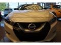 Pearl White - Maxima S Photo No. 6