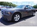 Granite Crystal Metallic - Charger SE Photo No. 3