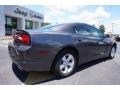 Granite Crystal Metallic - Charger SE Photo No. 7